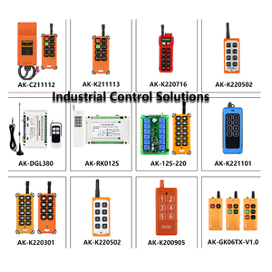 Telecomando industriale Wireless personalizzato 433MHz RF trasmettitore e ricevitore idraulico per gru telecomandatori - Product Image 1