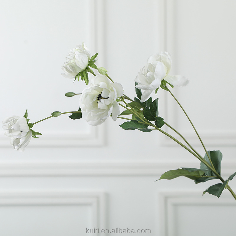 Lait blanc