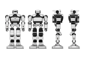 WLQ Ai <strong>Robot</strong> Stem Education Factory Directly Programmable Smart Cheap <strong>Robot</strong> Toys Intelligent for Kids Stem Intelligent <strong>Robot</strong>