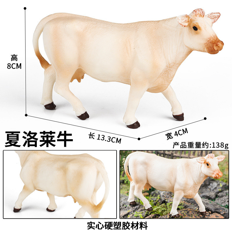 M-2566 ganado Charolais