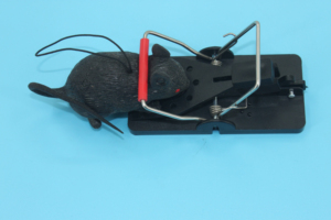 Factory <strong>Direct</strong> Supply Reusable Black <strong>Mouse</strong> <strong>Mice</strong> Snap Spring Trap Plastic Folding Rat Traps - Product Image 4