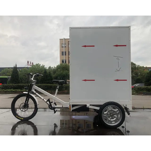 Tricycle Cargo ESTER en vente avec nouvelle cabine, aluminium, tricycle électrique