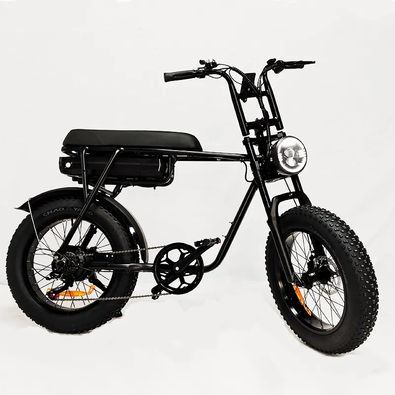 Tourwheel دراجة كهربائية 750w ببطارية ليثيوم / للبيع بالجملة دراجة كهربائية للتمارين للبالغين / دراجة كهربائية جبلية مصنوعة في