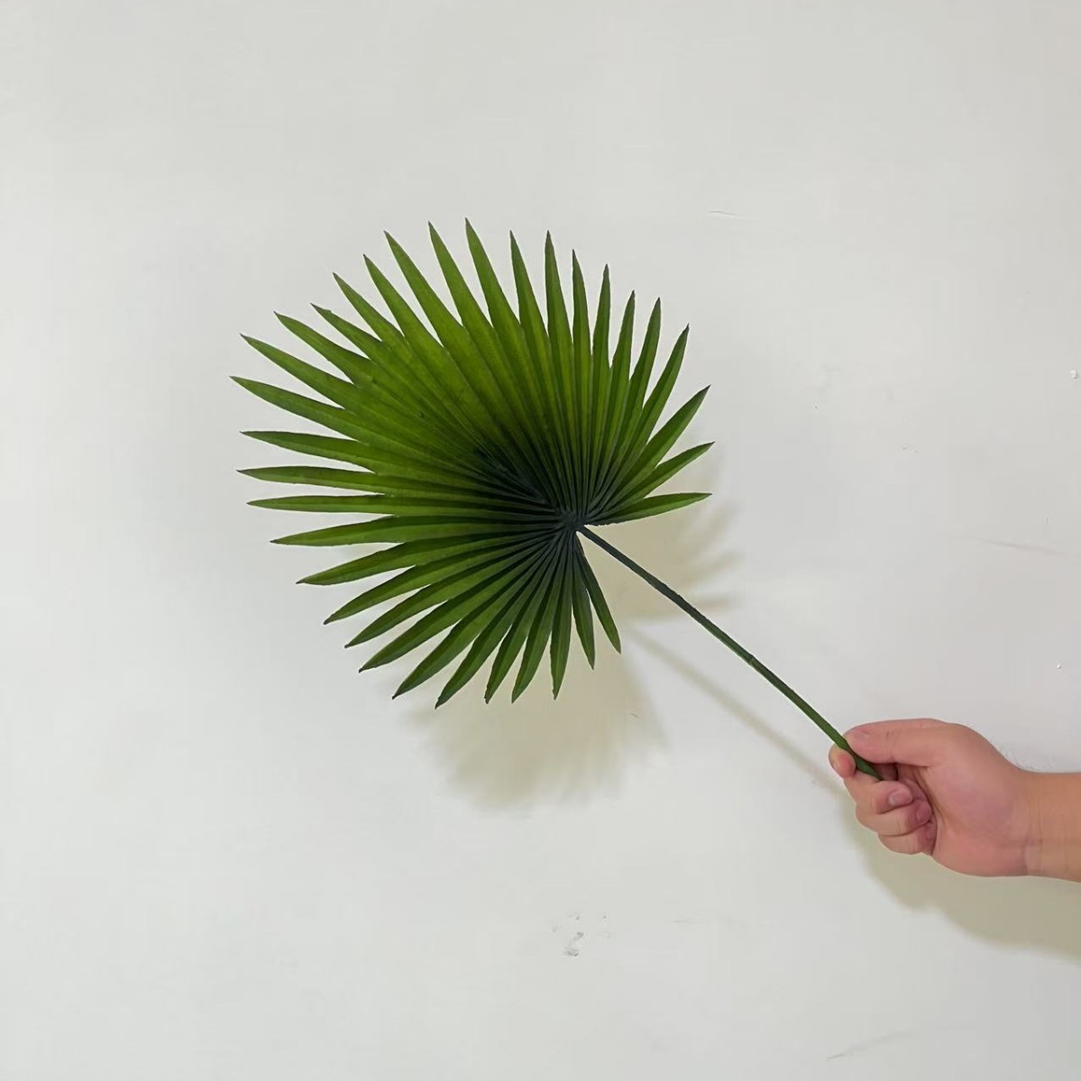 Lier Hoja de lluvia dorada única