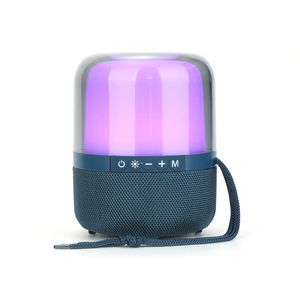 Radio FM Tarjeta TF Sistema de audio TWS Carcasa transparente RGB Luz colorida Altavoz inalámbrico portátil BT 5,3 - Product Image 1