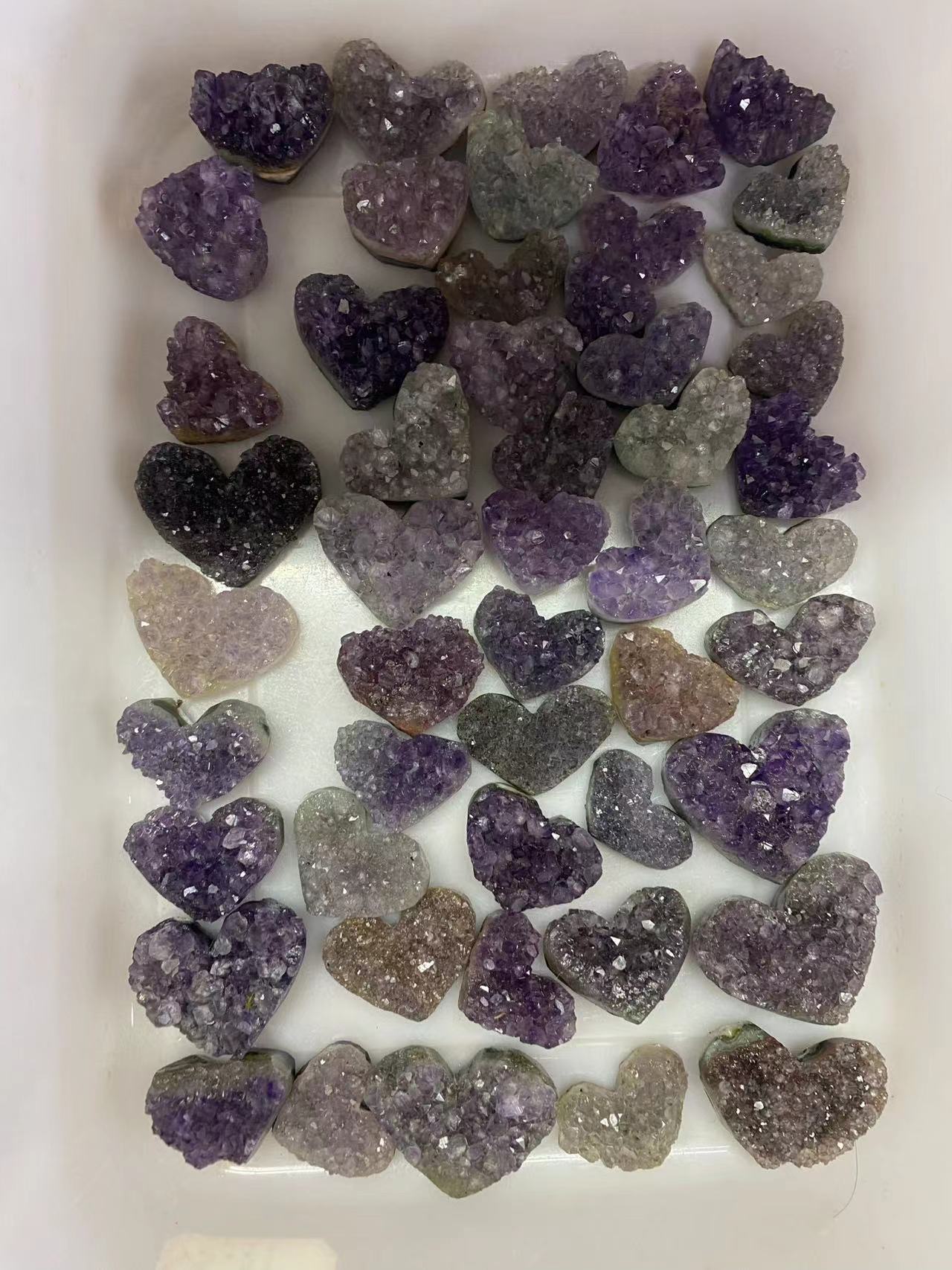 Viola