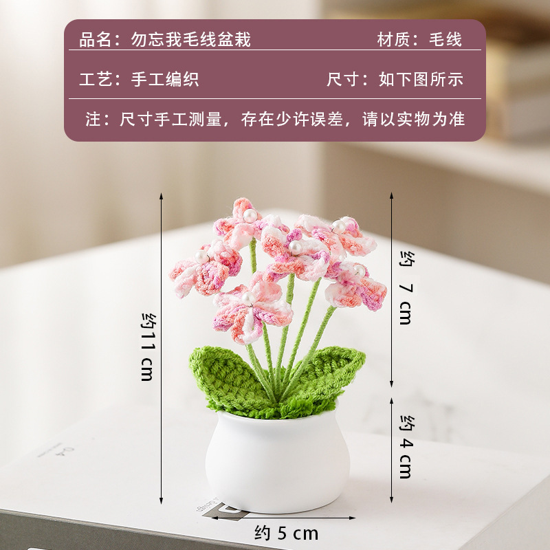 Gradient pink and white forget-me-not potted plant