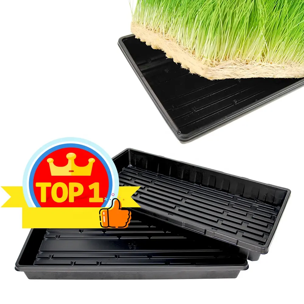 Extra Sterkte Duurzaam Tarwegras Microgreen Hydrocultuur Lade 1020 Plantaardige Zaailing Trays