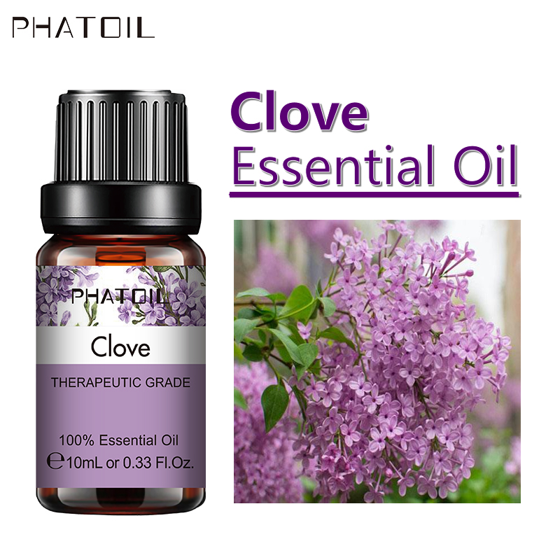SY5522-14Clove