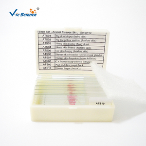 Diapositivas preparadas para Parasitología Médica para estudiantes que aprenden investigación médica, uso de diapositivas preparadas con protozoos de alto estándar - Product Image 4