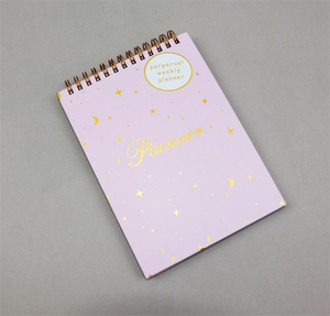 Logo personalizzato in fabbrica A5 e A4 bobina a spirale copertina rigida per Notebook Memo blocco note Agenda Planner stile Journal di promozione - Product Image 2