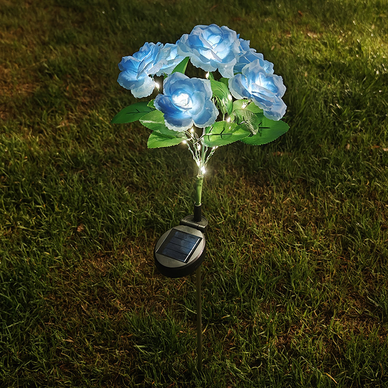 Blue Rose