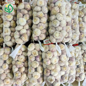 来自中国的新鲜水果和蔬菜供应商 - Product Image 6