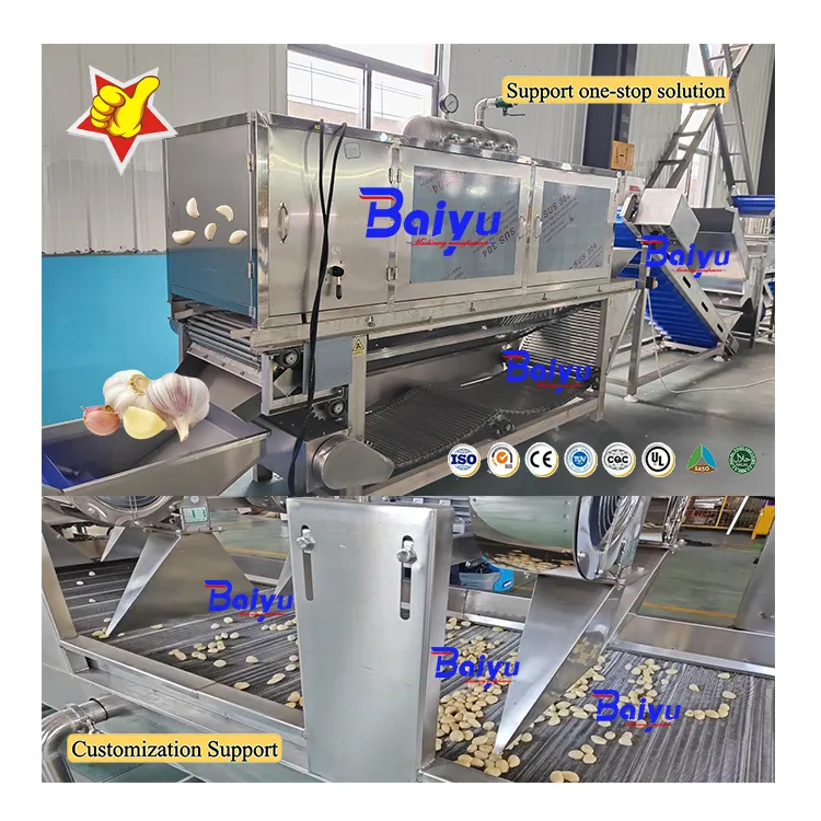Baiyu Knoflook Productielijn Fruit & Groente Schilmachine Voor Het Scheiden Van Sorteren Verpakking Knoflook