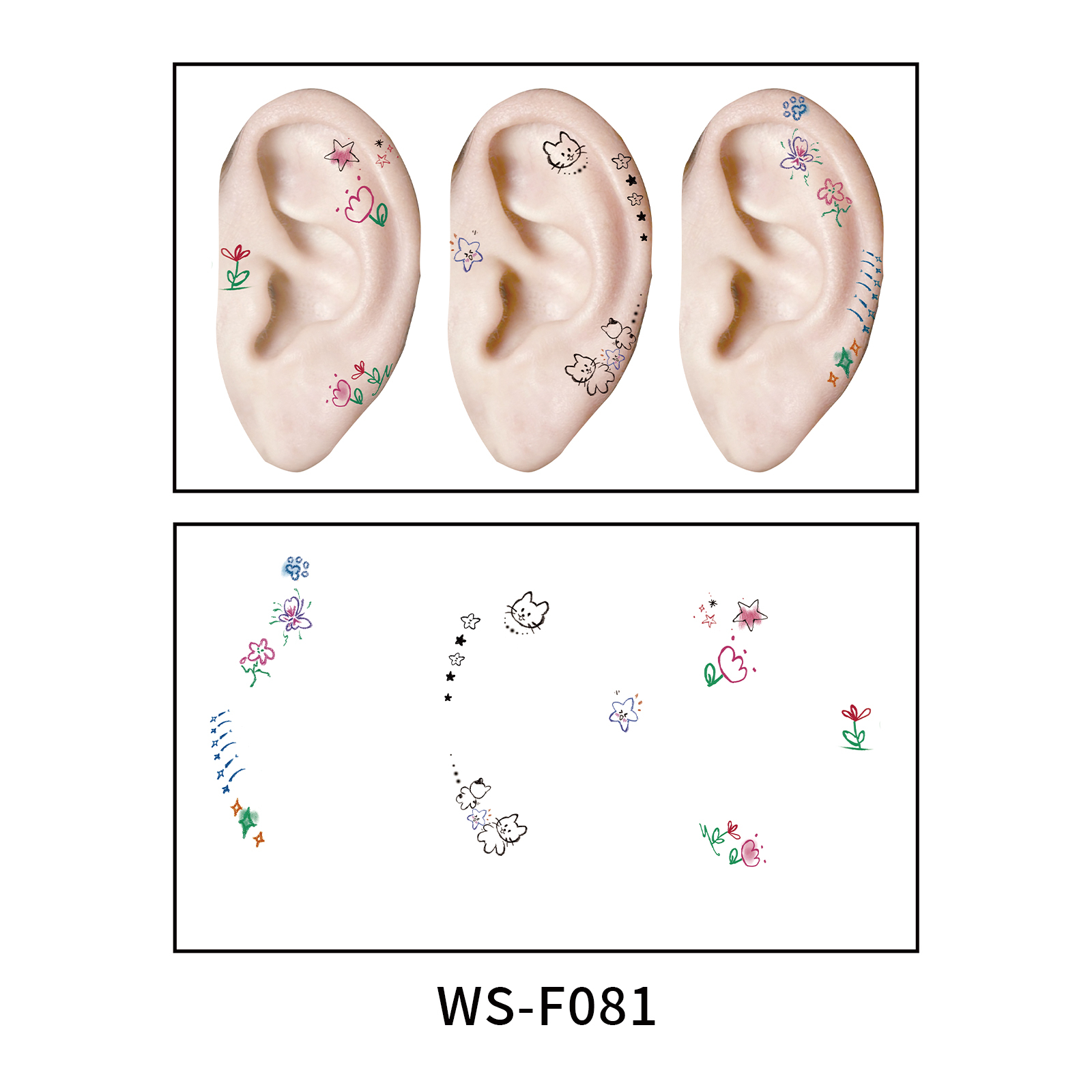 WS-F081