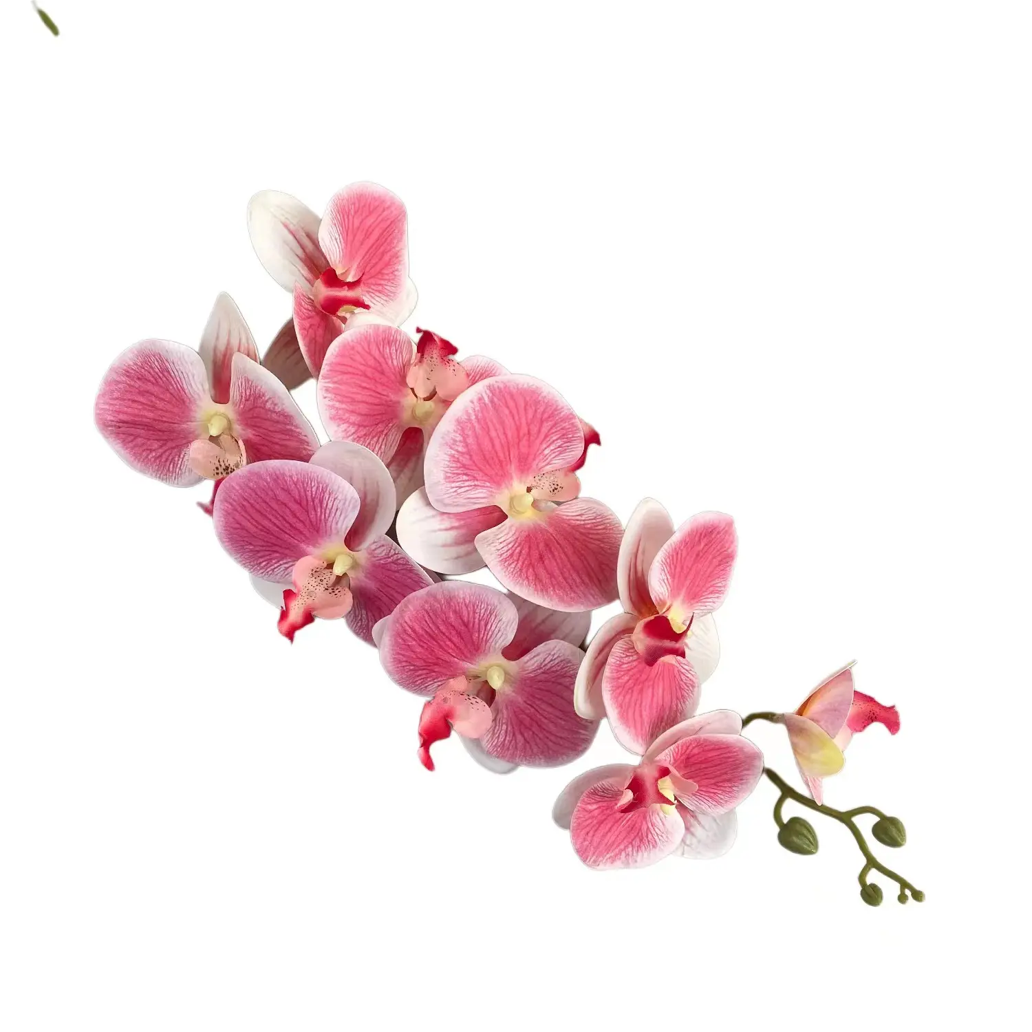 Fábrica colorida simulación de alta calidad orquídeas falsas flores artificiales tacto real Phalaenopsis látex