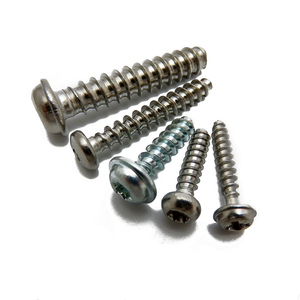 M5*1.8 PT Thread Forming <strong>Screw</strong> for Plastics, Stainless Steel WN1411 PT Thread <strong>Screw</strong>