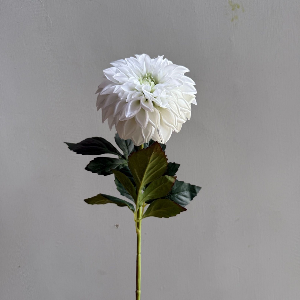 1 # bianco