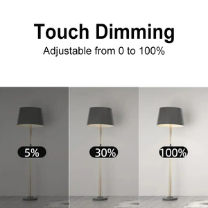 Fabrika CE RoHS ayarlanabilir parlaklık otel Villa desteği Alexa Google ev Tuya WiFi akıllı Dimmer dokunmatik ışıklı anahtar 220V - Product Image 3
