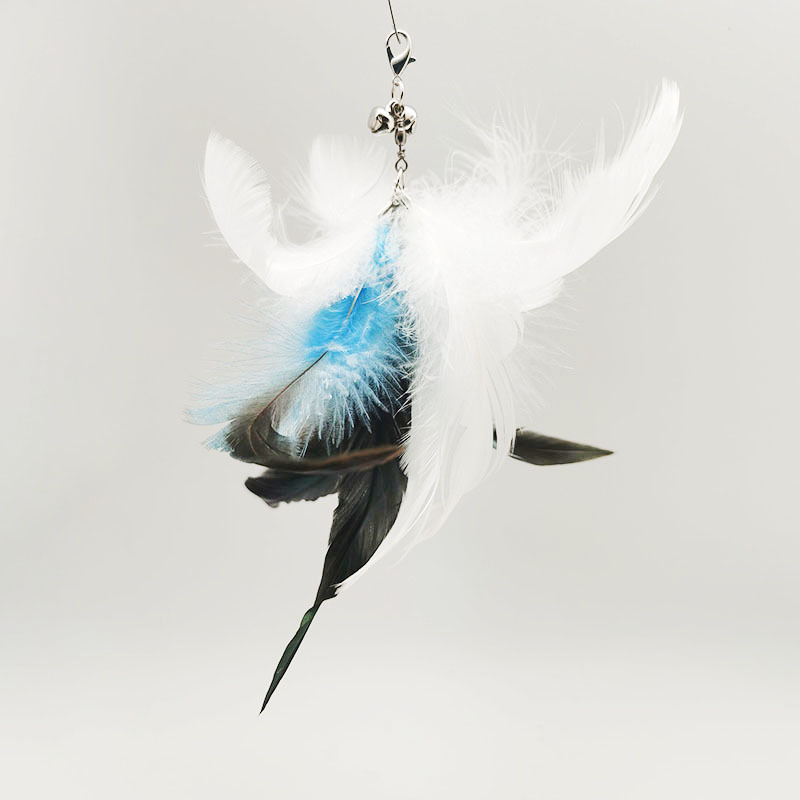 6+2 pièces fixation plume bleue