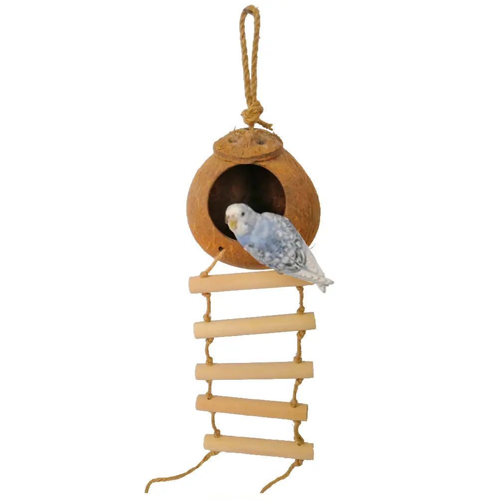 Commercio all'ingrosso divertente uccello piccolo animale pappagallo nido guscio di cocco casa degli uccelli