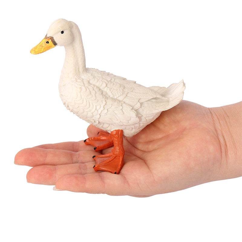 4191 Pato blanco