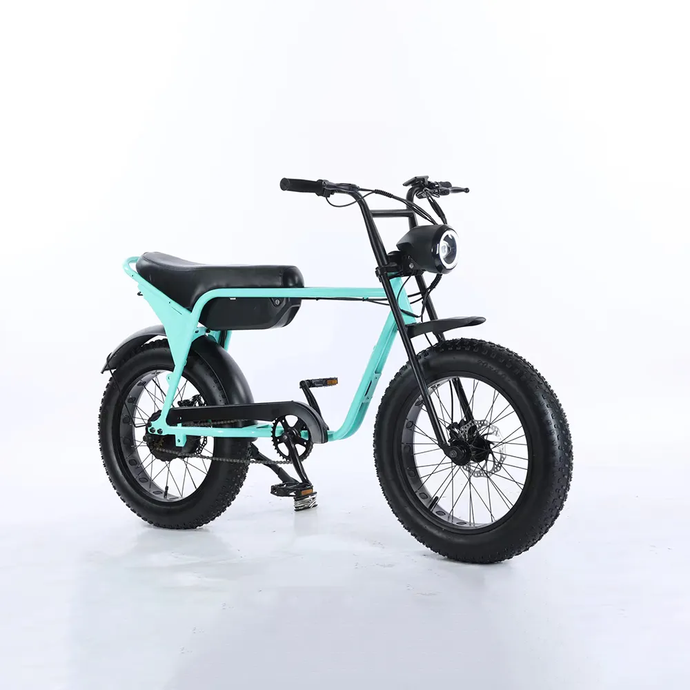 Đi lại hiệu suất cao đạp hỗ trợ chất béo lốp hai bánh xe Lithium Xe đạp điện