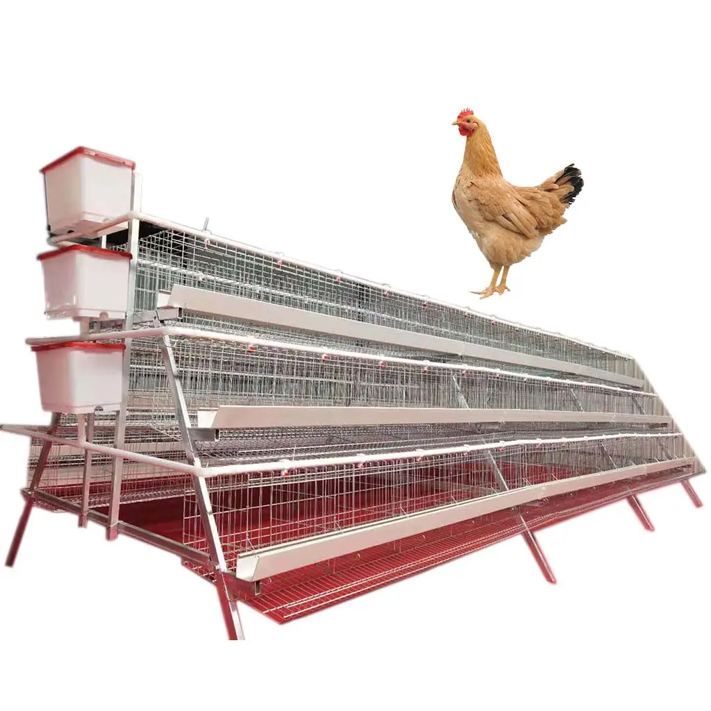 Cage de poulet automatique 2 unités, pour élevage de volaille, vente aux états-unis