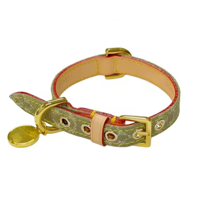 Light green Collar