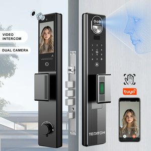 Tediton intelligente riconoscimento del palmo del viso Smart Gate Lock elettrico Tuya Wifi Smart serratura della porta con fotocamera e impronta digitale
