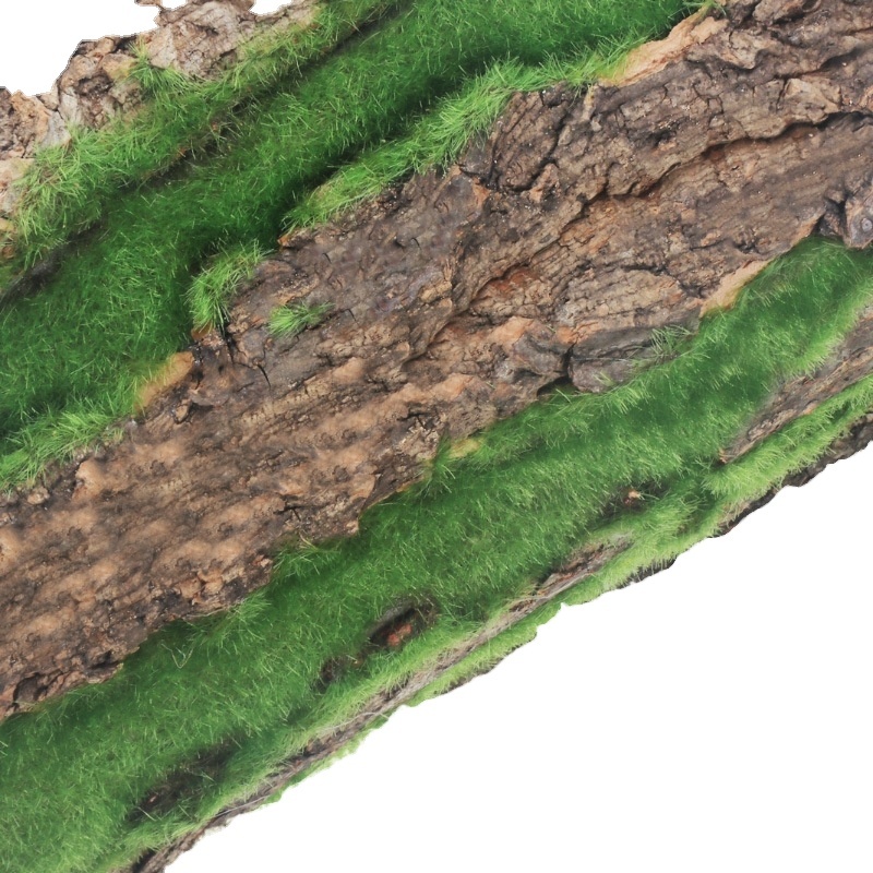 Tree bark