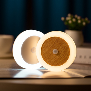 Bewegungs sensor LED-Licht USB wiederauf ladbarer Sensor Nachtlicht Sicherheits licht mit Bewegungs sensor - Product Image 1