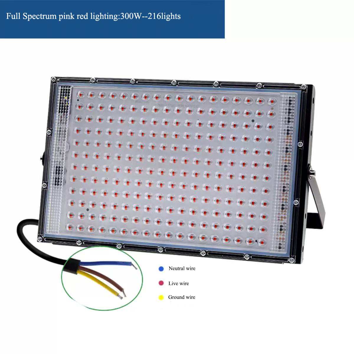 216led 300W sans prise
