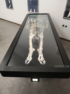 Medical University Teaching Learning Digital <strong>Human</strong> Anatomy System 3D Body HD Digihuman Virtual Anatomage Table - Product Image 6