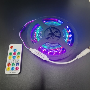 Dijital LED sihirli renk uzaktan kumanda RGB adresli Flex LED şerit ışık 12v 24v rgbic ışıkları festivali dekor - Product Image 1