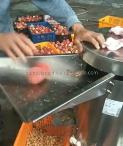 Ticari meyve Pulper makinesi Mango/elma/sebze işleme için 500 kg/saat yüksek kapasiteli-otomatik hamuru ekstraksiyonu - Product Image 5
