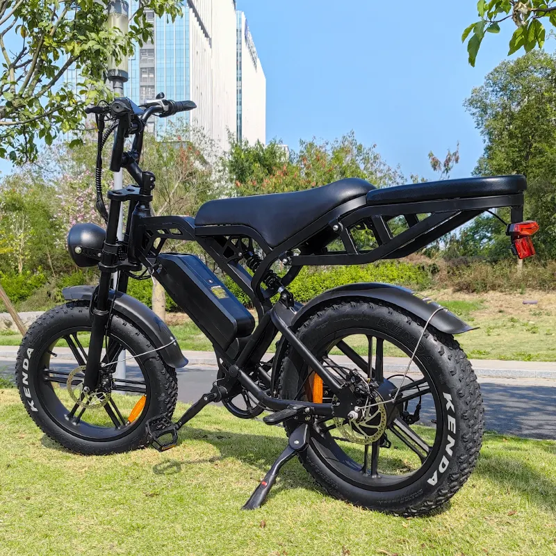 2024 baru V20 e-bike 48v 250watt 750w 1000w E sepeda listrik ban besar sepeda motor trail untuk pria dewasa penjualan sepeda listrik