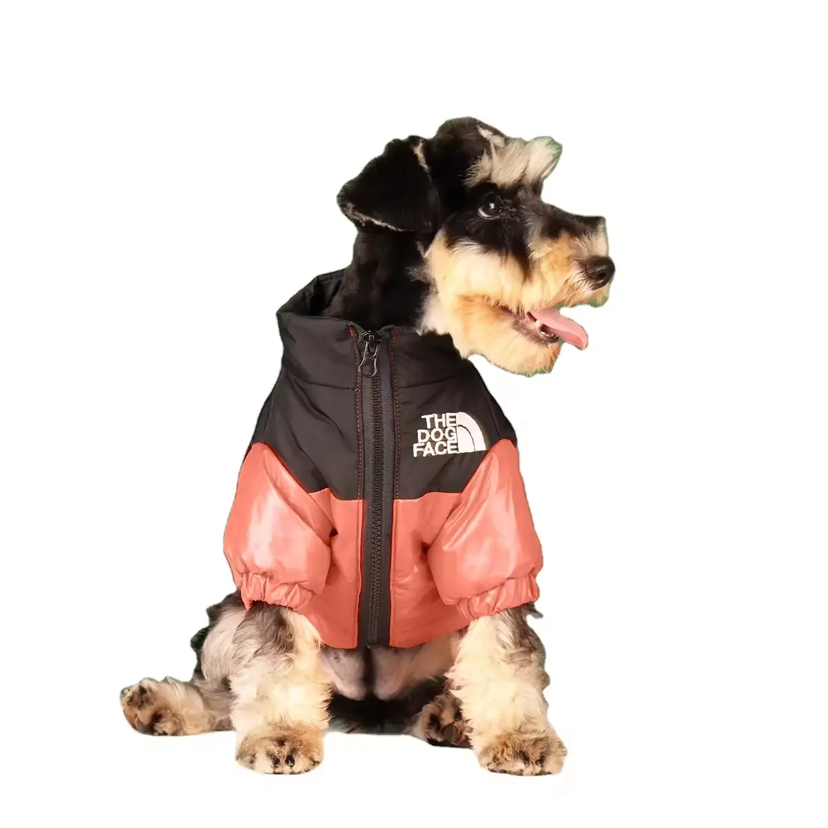 All'ingrosso le mode per il viso del cane giacche invernali di alta marca