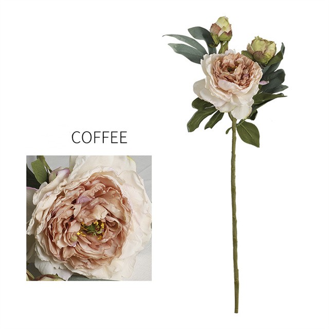 LT Coffee