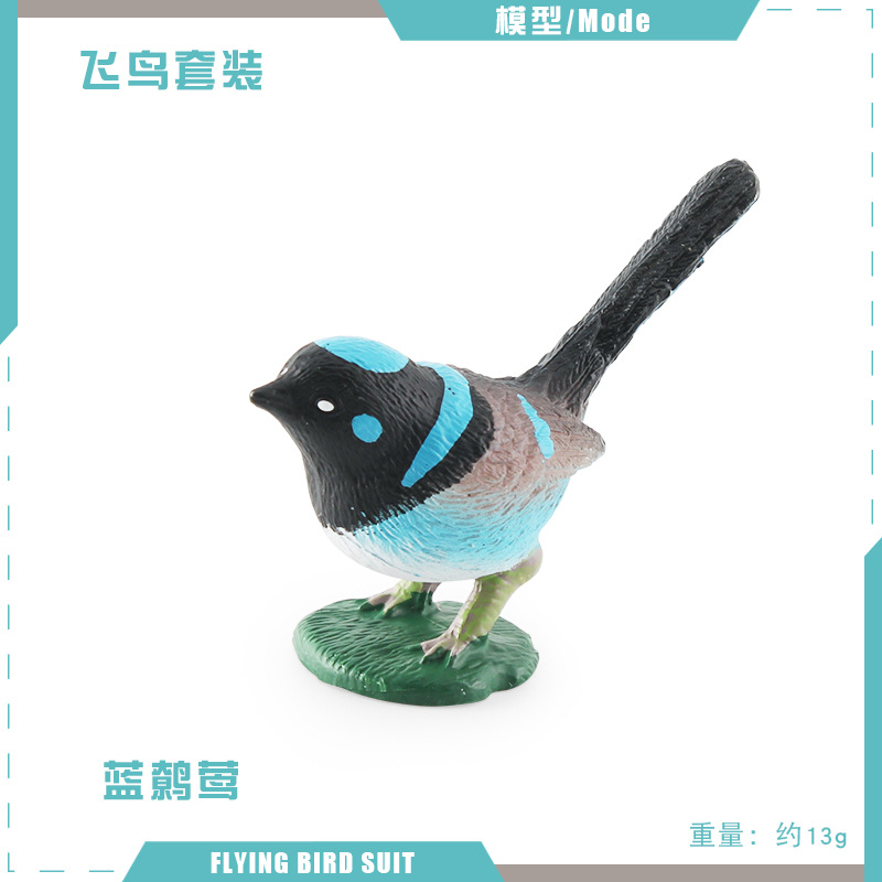 T15556 azul wreens 13g