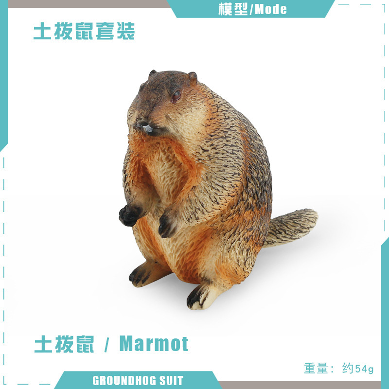 T15726 marmota 54g