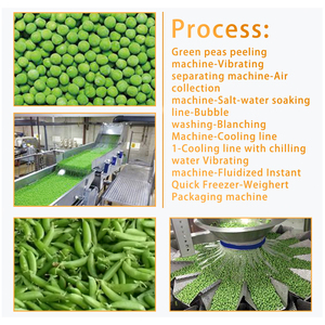 TCA自动胡萝卜蘑菇蔬菜水果切碎机漂白机重型生产线 - Product Image 3