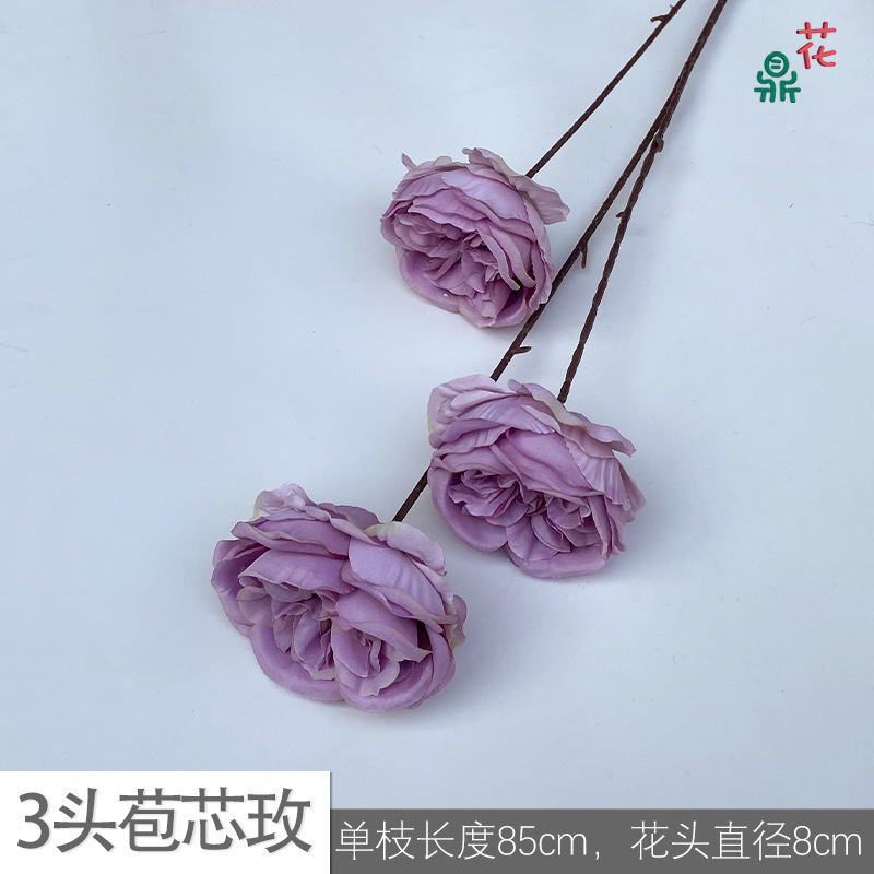 Rosa de bráctea de 3 cabezas YB 16 púrpura