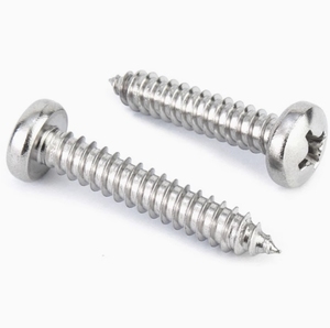 OEM özel mikro dizüstü vidalar M0.8 M1 M1.2 M1.4 M1.7 M2 M2.3 M2.6 M3 PA Phillips paslanmaz çelik Pan kafa kendinden dokunarak M4 M5 - Product Image 5