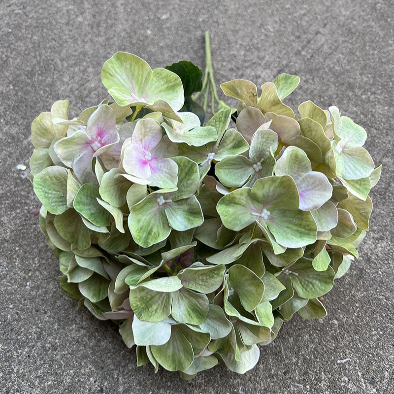 17 #5 cabeza mano Arco Iris Hortensia luz verde