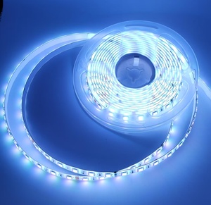 DC24V Remote Control Waterproof 5m 6m 60Leds/m <strong>Led</strong> Strip Lights for Decoration Commercial Lighting