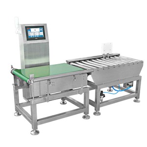 Advanced Check Weigher with Large Touch Screen - Automatic Learning Push Rod Weighing Machine for Precise Weighing <strong>Automation</strong> - Product Image 2