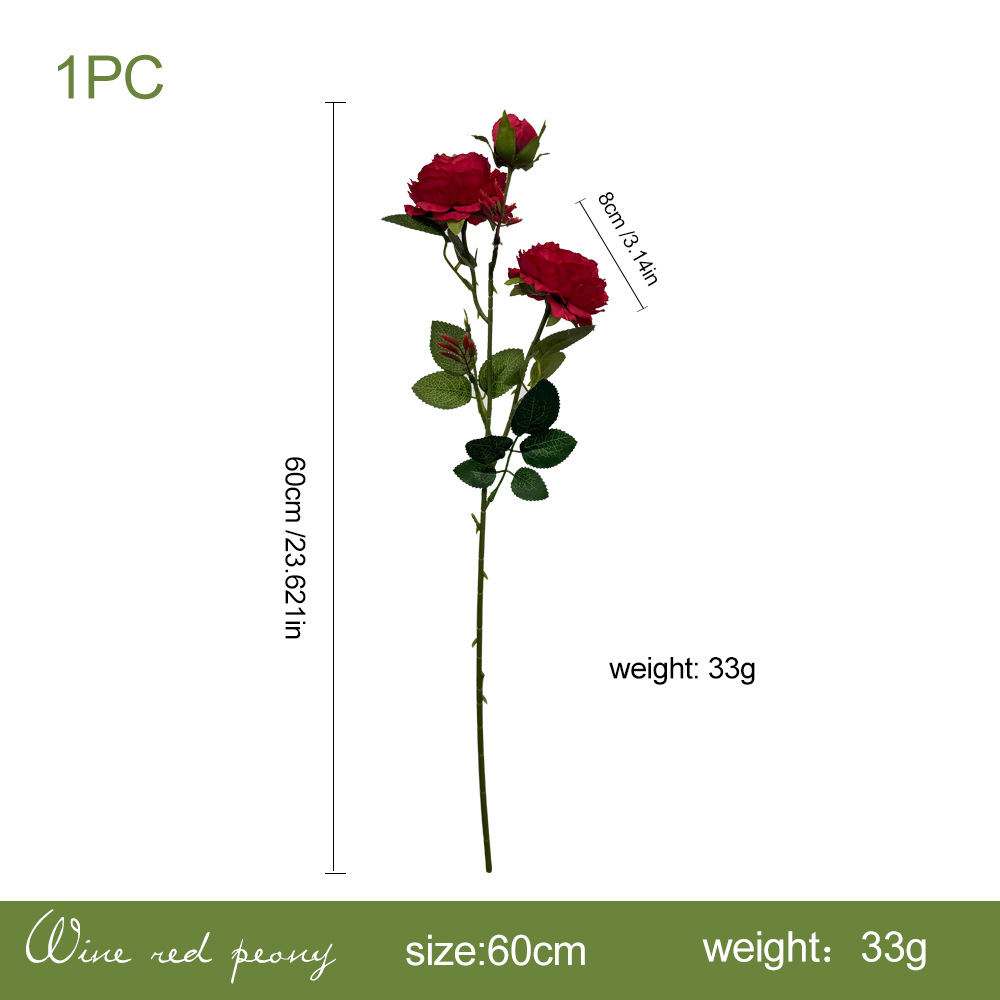 Ranunculus asiaticus single stem bundle