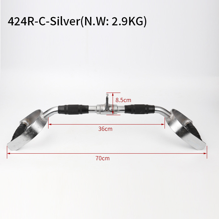 424R-C-Argent