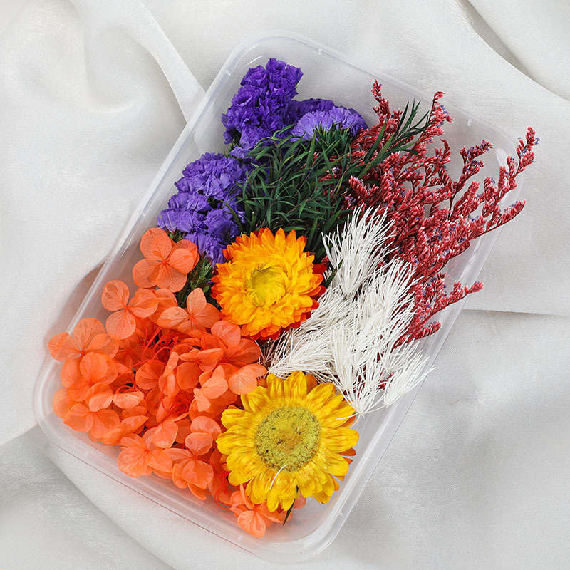 สีสัน-6